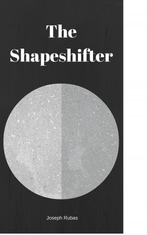 Cover of the book The Shapeshifter by Axbal Zavala