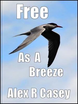 Cover of Free as a Breeze