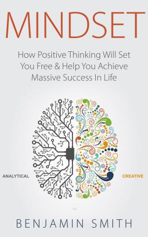 Cover of the book Mindset: by Vince Guaglione