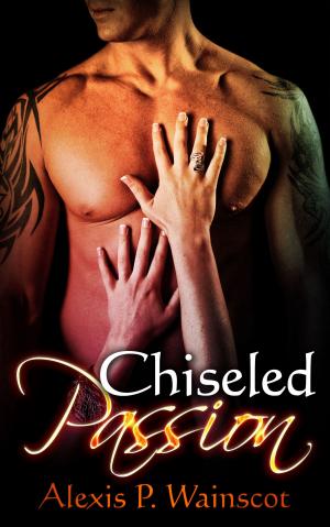Cover of the book Chiseled Passion by Dani Lovell