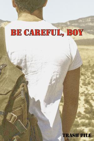 bigCover of the book Be Careful, Boy by 