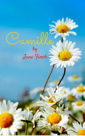 Cover of the book Camille by Tamie Dearen
