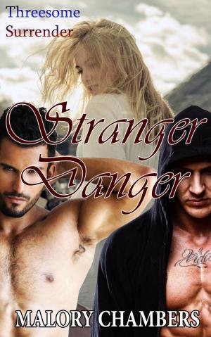 Cover of the book Stranger Danger by A.X. Foxx