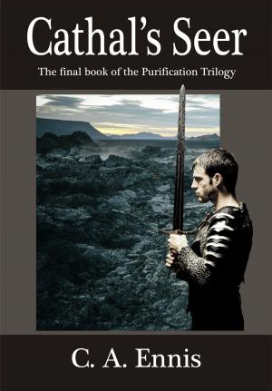 bigCover of the book Cathal's Seer by 