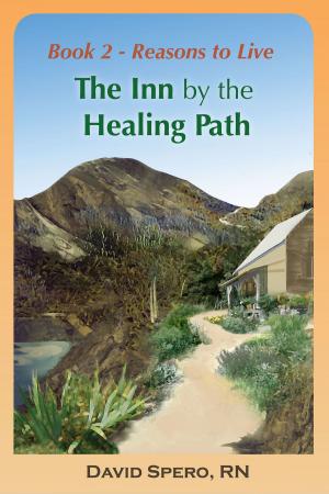 Book cover of The Inn By The Healing Path Book 2: Reasons to Live