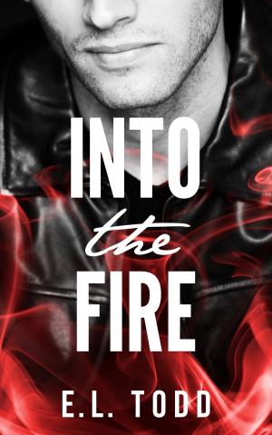 Cover of the book Into The Fire by E. L. Todd