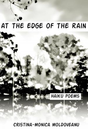 Book cover of At the Edge of the Rain