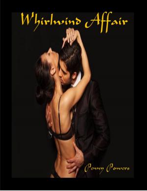 Cover of the book Whirlwind Affair by Desiree Love