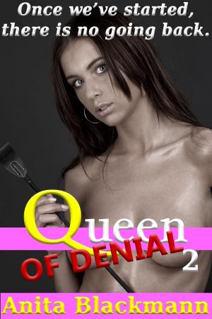 Book cover of Queen of Denial 2