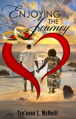 Cover of the book Enjoying the Journey by Linda McBurney-Gunhouse