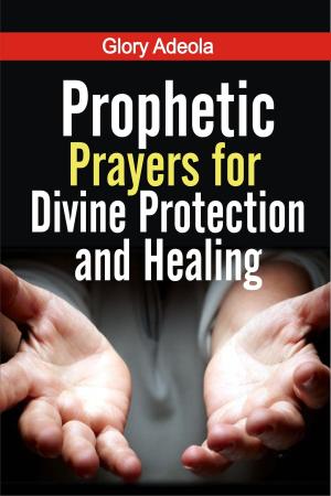 Book cover of Prophetic Prayers for Divine Protection and Healing