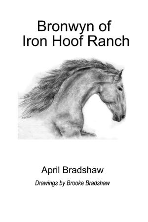 Cover of the book Bronwyn of Iron Hoof Ranch by Jacquelin Thomas