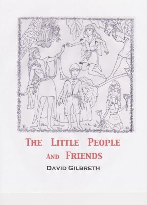 bigCover of the book The Little People and Friends by 