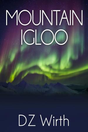 Cover of the book Mountain Igloo by JJ Ritonya
