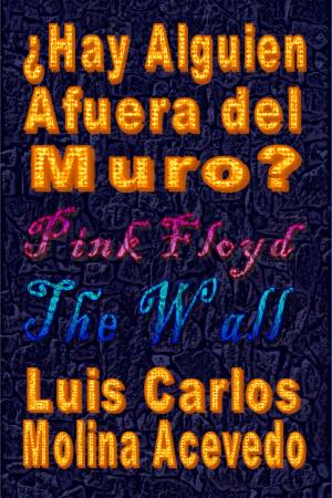 Cover of the book ¿Hay Alguien Afuera del Muro? by Luis Carlos Molina Acevedo