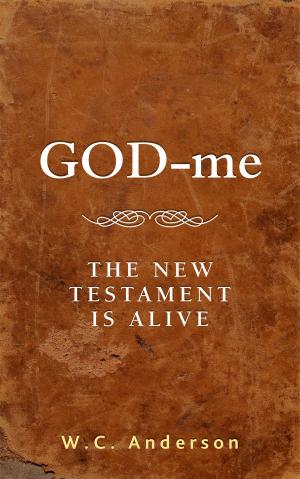 bigCover of the book GOD-me by 