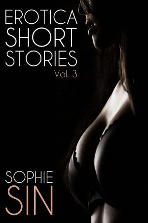 Cover of the book Erotica Short Stories Vol. 3 by Kenneth Guthrie