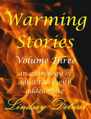 Cover of the book Warming Stories Volume Three by DL Moss