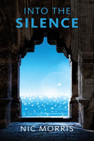 Cover of the book Into the Silence by Michael B. Koep