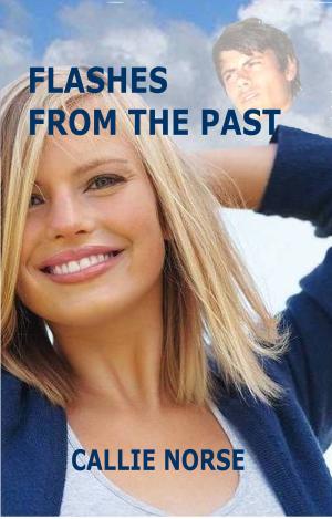 Cover of the book Flashes from the Past by Tricia O'Malley