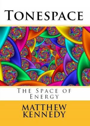 Cover of the book Tonespace by Zizzi Bonah