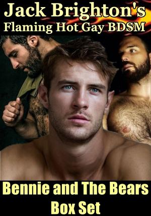 Cover of the book Bennie and the Bears Box Set by Dan Bruce