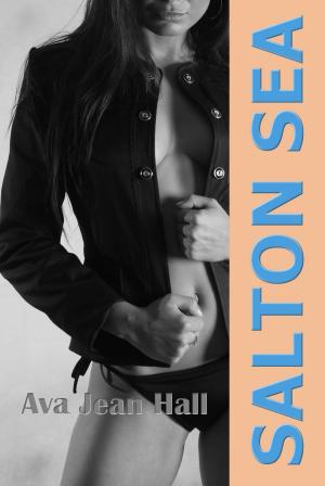 Cover of the book Salton Sea by Ava Jean Hall