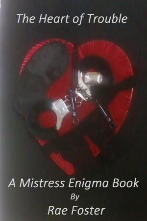 Cover of the book The Heart of Trouble: A Mistress Enigma Book by Debra Jess