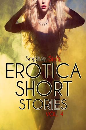 Book cover of Erotica Short Stories Vol. 4