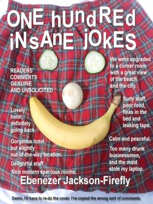 Cover of the book One Hundred Insane Jokes by Ebenezer Jackson-Firefly