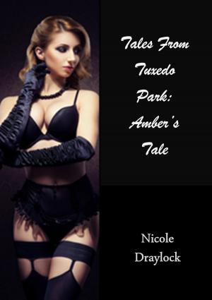 Cover of the book Tales from Tuxedo Park: Amber's Tale by Naughty Nancy