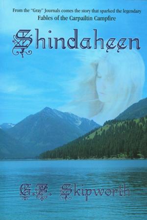 Cover of the book Shindaheen by Sorcha Mowbray