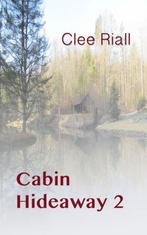 Cover of the book Cabin Hideaway 2 by Britt DeLaney