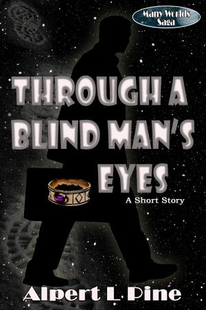Book cover of Through a Blind Man's Eyes