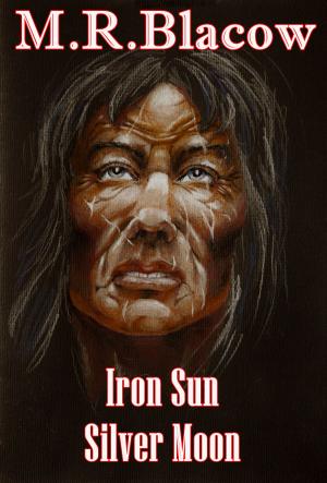 bigCover of the book Iron Sun, Silver Moon by 