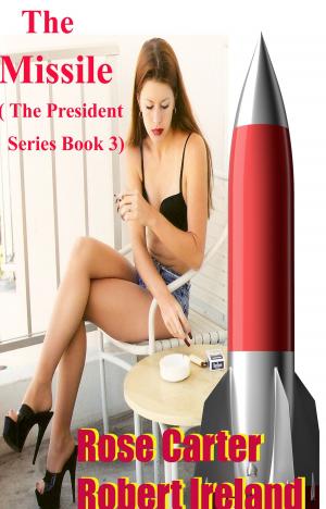Cover of the book The Missile ( The President Series; Book 3) by Kim Hunter
