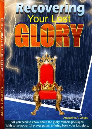 Cover of the book Recovering Your Lost Glory by Augustine Ayodeji Origbo