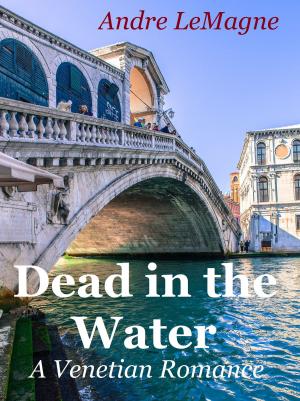 Book cover of Dead in the Water ~ A Venetian Romance