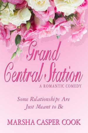 Cover of the book Grand Central Station: Some Relationships Are Just Meant to Be by Nola Sarina, Emily Faith