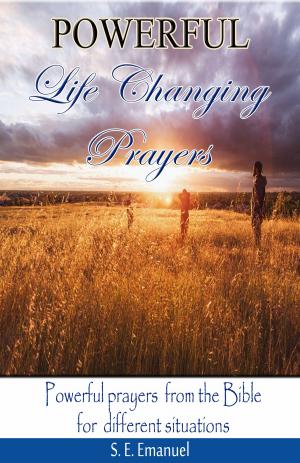 Cover of the book Powerful Life Changing Prayers by Kathleen Fields