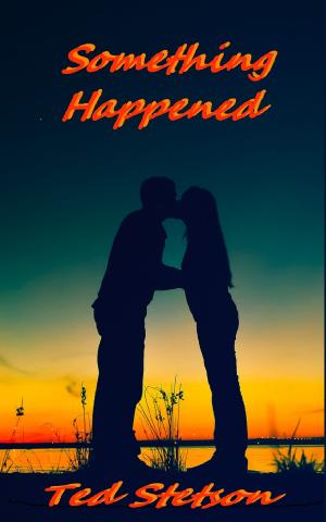 Cover of the book Something Happened by Ted Stetson