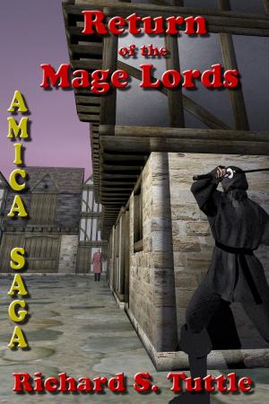 Cover of the book Return of the Mage Lords (Amica Saga #6) by Nicholas Erik