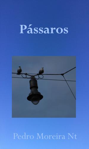 Cover of the book Pássaros by Émile Gaboriau