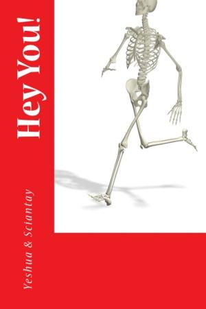 Cover of the book Hey You! by Mandy DeGeit