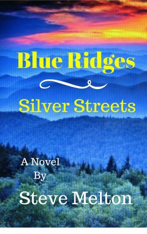 Cover of the book Blue Ridges Silver Streets by cp turner