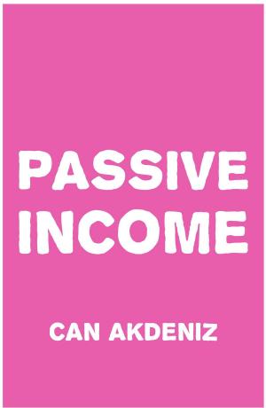 bigCover of the book Passive Income: Strategies for a More Active Life by 