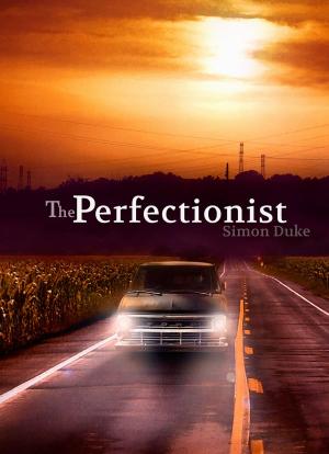 Cover of the book The Perfectionist by Jose Luis Solorzano