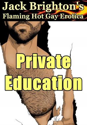 Book cover of Private Education