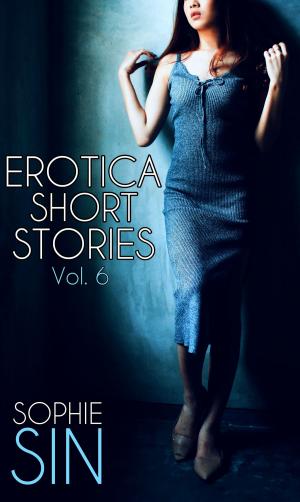 Book cover of Erotica Short Stories Vol. 6