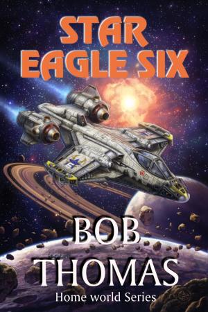 Cover of the book Star Eagle Six by K. Llewellin